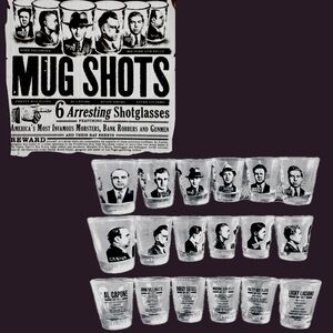 Mugshots 6 Piece Shot Glass Set